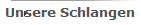 Unsere Schlangen